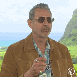 Are You Kidding Me Jeff Goldblum GIF