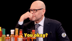 Are You Ok Sean Evans Hot Ones GIF