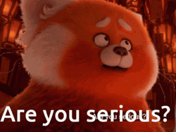 Are You Serious Cute Red Panda GIF