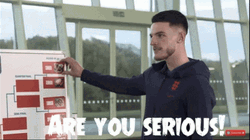 Are You Serious Declan Rice Footballer GIF