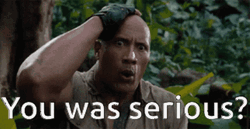 Are You Serious Dwayne Johnson Actor GIF