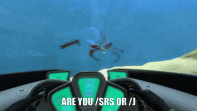 Are You Srs Or J GIF
