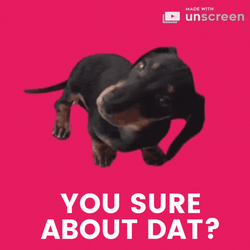 Are You Sure About That Cute Weiner Meme GIF
