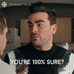 Are You Sure About That David Rose Meme GIF