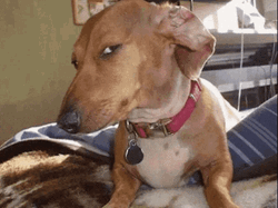 Are You Sure About That Side Eye Meme GIF
