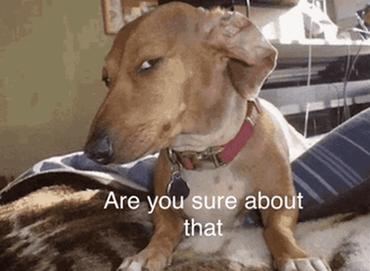 Are You Sure Grumpy Pup Side Eye GIF