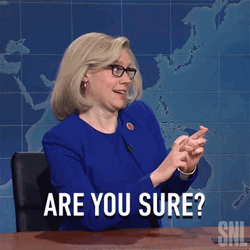 Are You Sure Liz Cheney GIF