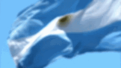 Argentina Flag Waving On Air GIF