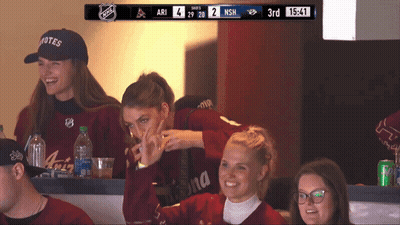 Ari And NSN Playing Hockey GIF
