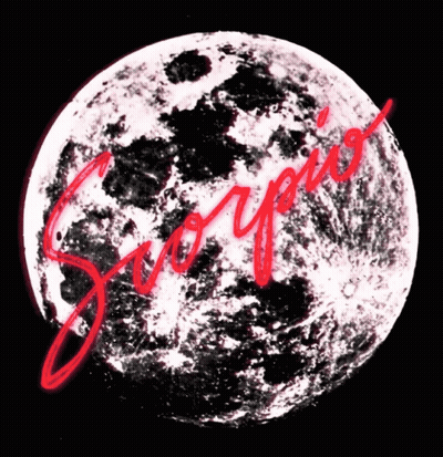 Aries Word On Black Background With White Flowers GIF