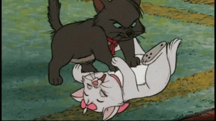 Aristocats GIF