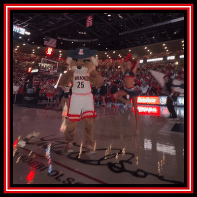 Arizona Basketball Mascot In Number 25 Jersey GIF