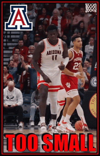 Arizona Basketball Poster Says Too Small In Red Letters GIF