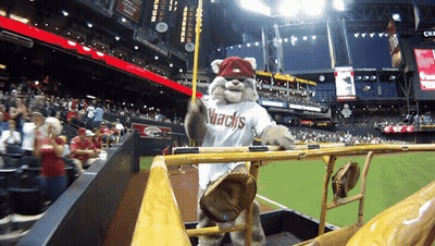 Arizona Nbacks Mascot In Dugout GIF