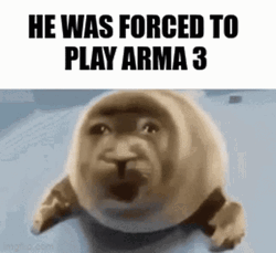Arma 3 Seal Forced Play Meme GIF