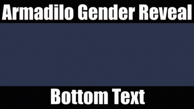 Armadilo Gender Reveal Bottom Text With A Picture Of A Cube GIF
