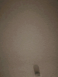 Arnold Handshake Tightly GIF