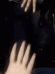 Arnold Handshake White And Brown Race Color GIF