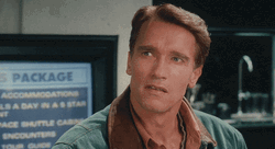 Arnold Schwarzenegger Give Up GIF