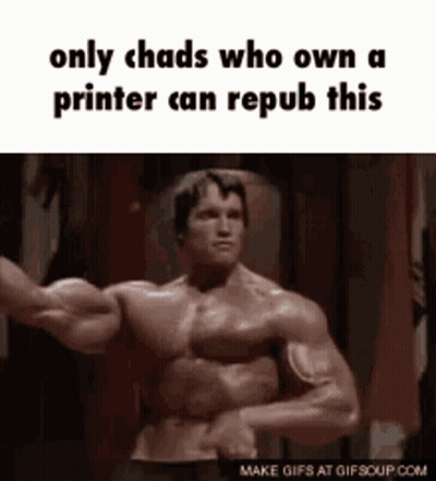 Arnold Schwarzenegger Is Flexing His Muscles In A Meme That Says Only Chads Who Own A Printer Can Repub This GIF