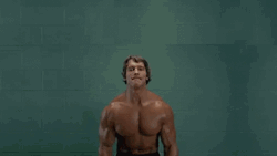 Arnold Schwarzenegger Kitty Dumbbells GIF