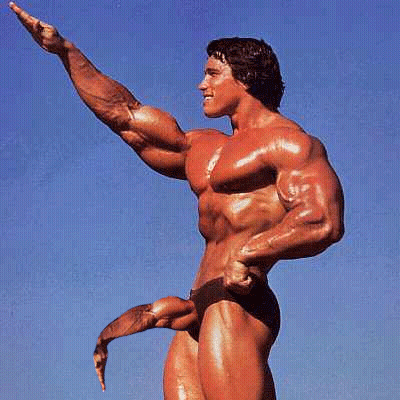 Arnold Schwarzenegger Muscular Bodybuilder Arms Outstretched Blue Sky GIF