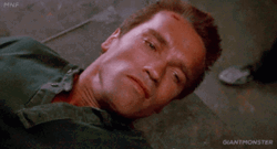 Arnold Schwarzenegger On The Ground GIF