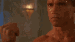 Arnold Schwarzenegger Punching GIF