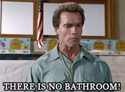 Arnold Schwarzenegger Says There Is No Bathroom In Front Of A Flag GIF