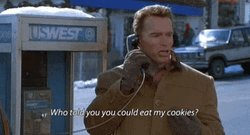 Arnold Schwarzenegger Talking At The Phone GIF