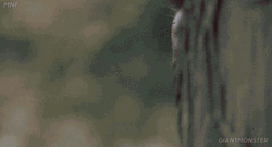 Arnold Schwarzenegger Watching Reaction GIF