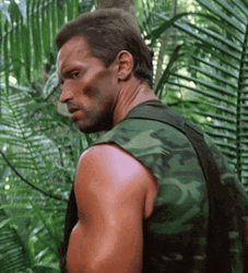 Arnold Schwarzenegger What Is It Reaction GIF