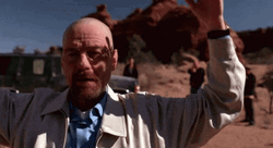 Arrested Bryan Cranston Breaking Bad Surrender GIF
