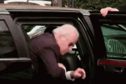 Arrival Of Biden Ice Cream GIF