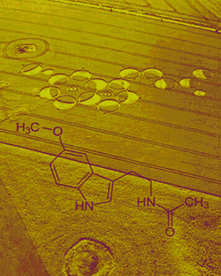 Art Crop Circles GIF