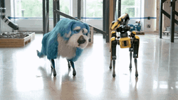Artificial Intelligence Robot And Dog Dancing GIF