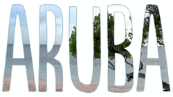 Aruba Beach Travel Vacation GIF