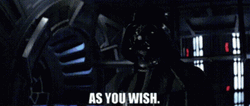 As You Wish Darth Vader Bowing GIF