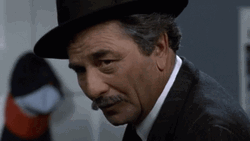 As You Wish Peter Falk GIF