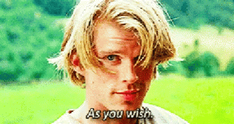 As You Wish Robin Wright Princess Bride GIF
