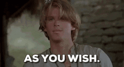 As You Wish Says Cary Elwes GIF