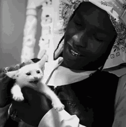 Asap Rocky Head Patting Kitten GIF