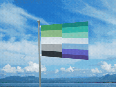 Asexual Flag Flying GIF