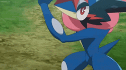 Ash Greninja Mega Sceptile GIF