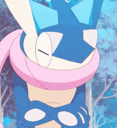 Ash Greninja Nods GIF