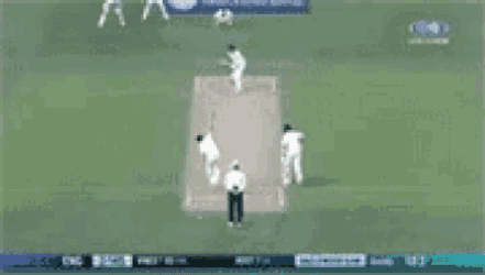 Ashes Cricket GIF