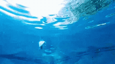Ashley Moore GIF