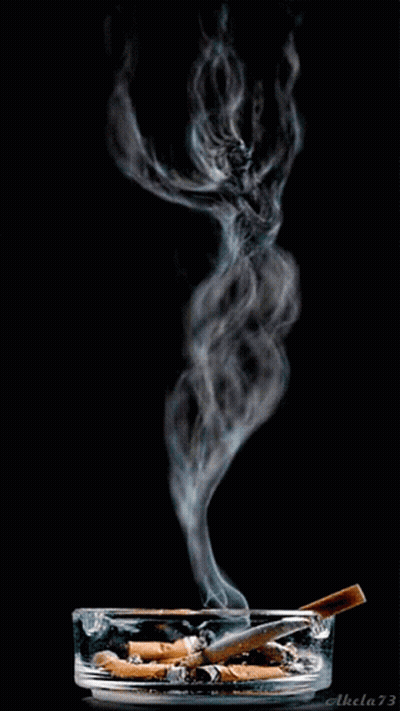 Ashtray With Cigarette And Smoke GIF