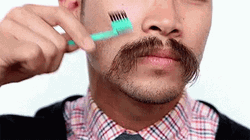 Asian Guy Combing His Mustache GIF