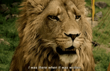 Aslan I Was There When It Was Written GIF